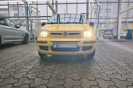 Fiat Panda Gebrauchtwagen