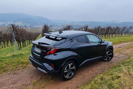 Toyota C-HR Gebrauchtwagen