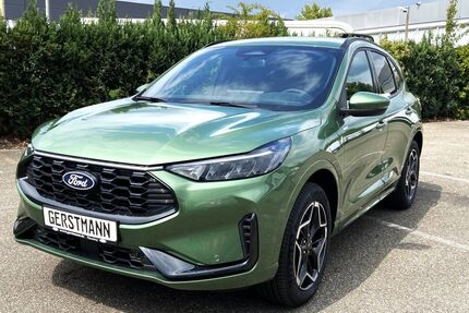 Ford Kuga Gebrauchtwagen