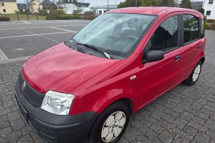 Fiat Panda Gebrauchtwagen