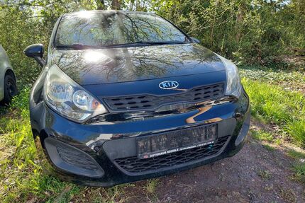 Kia Rio Gebrauchtwagen