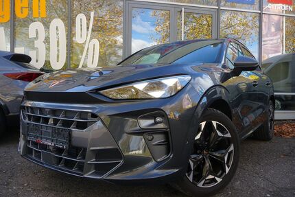 Cupra Terramar Gebrauchtwagen