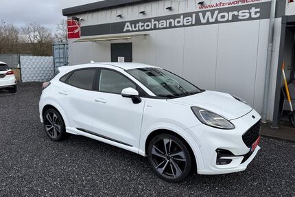 Ford Puma Gebrauchtwagen