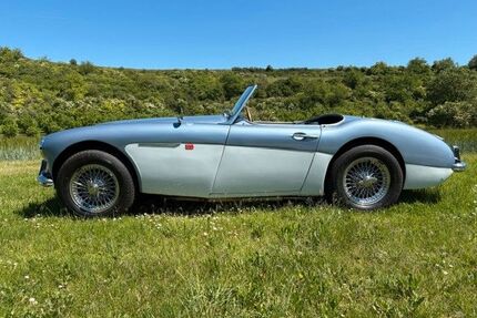 Austin Healey Andere Gebrauchtwagen