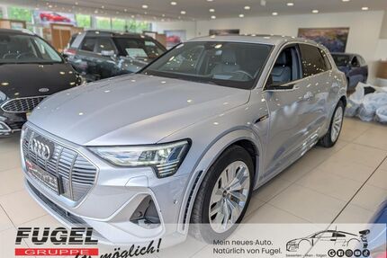 Audi e-tron Gebrauchtwagen