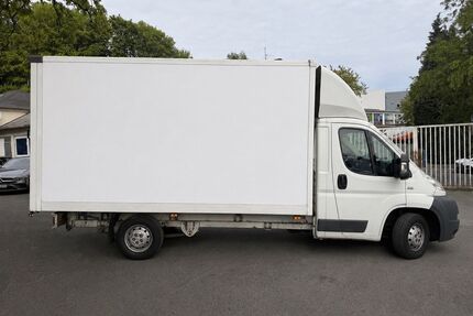 Fiat Ducato Gebrauchtwagen