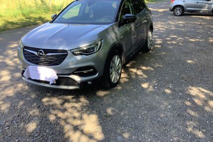 Opel Grandland (X) Gebrauchtwagen