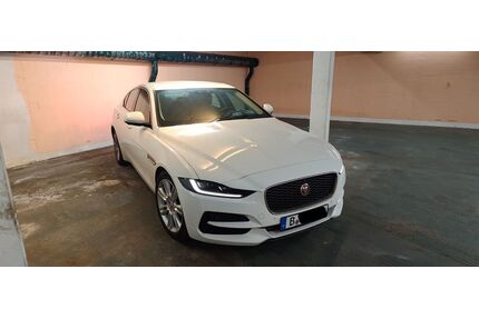 Jaguar XE Gebrauchtwagen