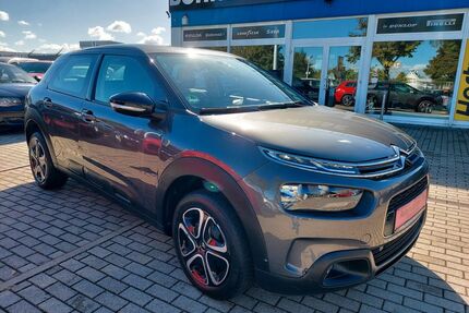Citroen C4 Cactus Gebrauchtwagen