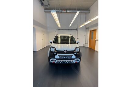 Fiat Panda Gebrauchtwagen