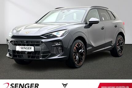 Cupra Terramar Gebrauchtwagen