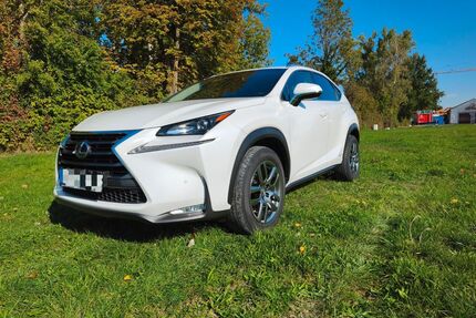 Lexus NX 300 Gebrauchtwagen