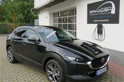Mazda CX-30 Gebrauchtwagen