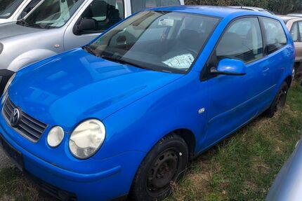 VW Polo Gebrauchtwagen