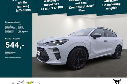 Cupra Terramar Gebrauchtwagen