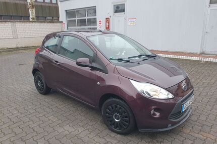 Ford Ka/Ka+ Gebrauchtwagen
