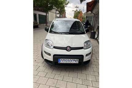 Fiat New Panda Gebrauchtwagen