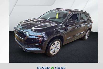 Skoda Karoq Gebrauchtwagen
