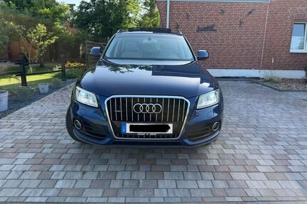 Audi Q5 Gebrauchtwagen