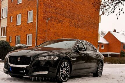 Jaguar XF Gebrauchtwagen