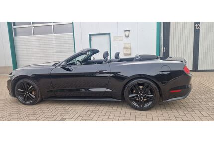 Ford Mustang Gebrauchtwagen