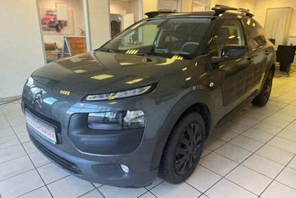 Citroen C4 Cactus Gebrauchtwagen