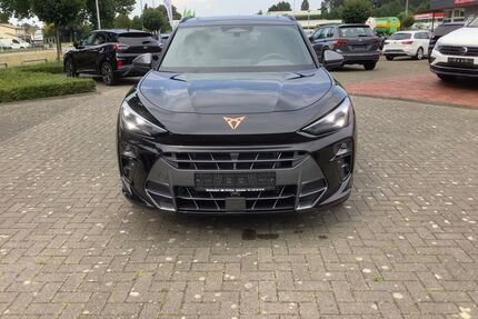 Cupra Terramar Gebrauchtwagen