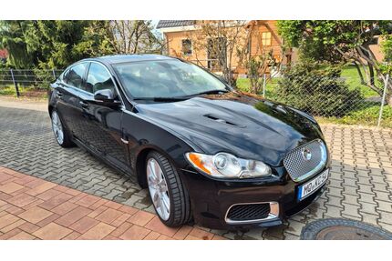 Jaguar XF Gebrauchtwagen