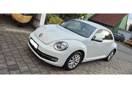 VW Beetle Gebrauchtwagen