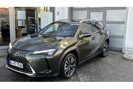 Lexus UX Gebrauchtwagen