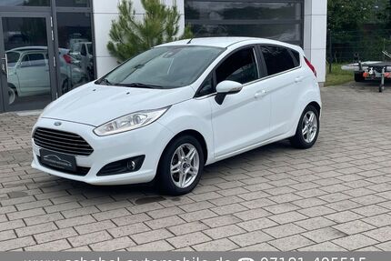 Ford Fiesta Gebrauchtwagen
