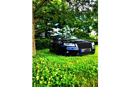 Audi A5 Gebrauchtwagen