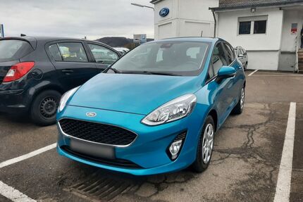 Ford Fiesta Gebrauchtwagen