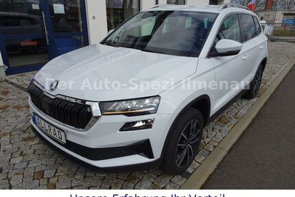 Skoda Karoq Gebrauchtwagen