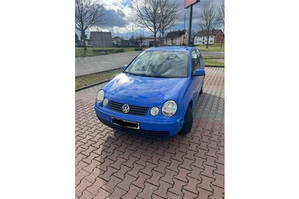 VW Polo Gebrauchtwagen