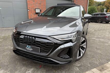 Audi Q8 e-tron Gebrauchtwagen