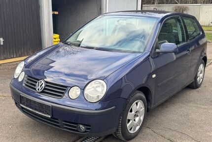 VW Polo Gebrauchtwagen