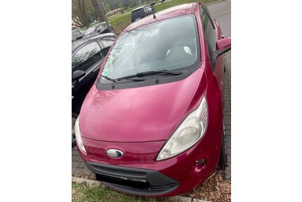Ford Ka/Ka+ Gebrauchtwagen