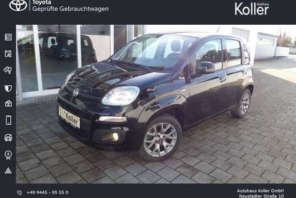 Fiat Panda Gebrauchtwagen