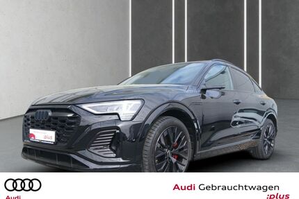 Audi Q8 e-tron Gebrauchtwagen