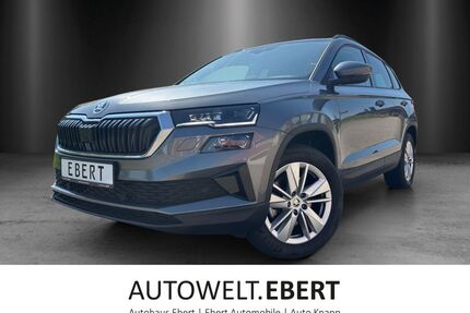 Skoda Karoq Gebrauchtwagen
