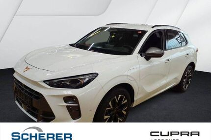 Cupra Terramar Gebrauchtwagen