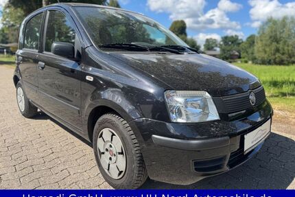 Fiat Panda Gebrauchtwagen