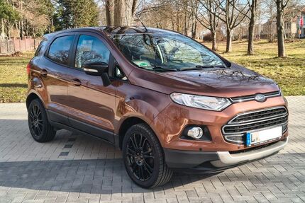 Ford EcoSport Gebrauchtwagen
