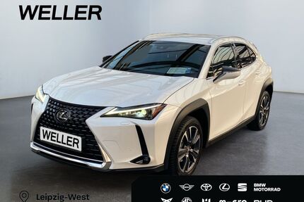 Lexus UX Gebrauchtwagen
