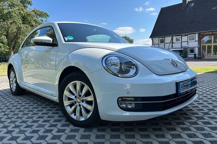 VW Beetle Gebrauchtwagen