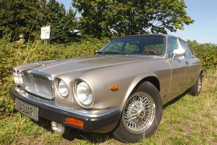 Jaguar XJ12 Gebrauchtwagen