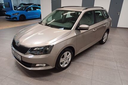 Skoda Fabia Gebrauchtwagen