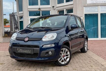 Fiat Panda Gebrauchtwagen