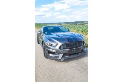 Ford Mustang Gebrauchtwagen